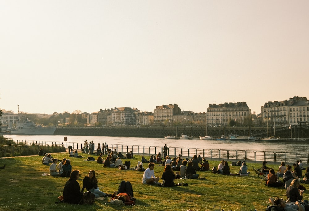 a group of people sitting on top of a lush green field