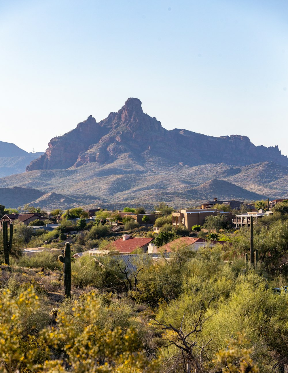 a view of a mountain range with houses in the foreground