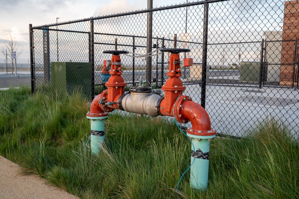 a red and blue fire hydrant sitting next to a fence