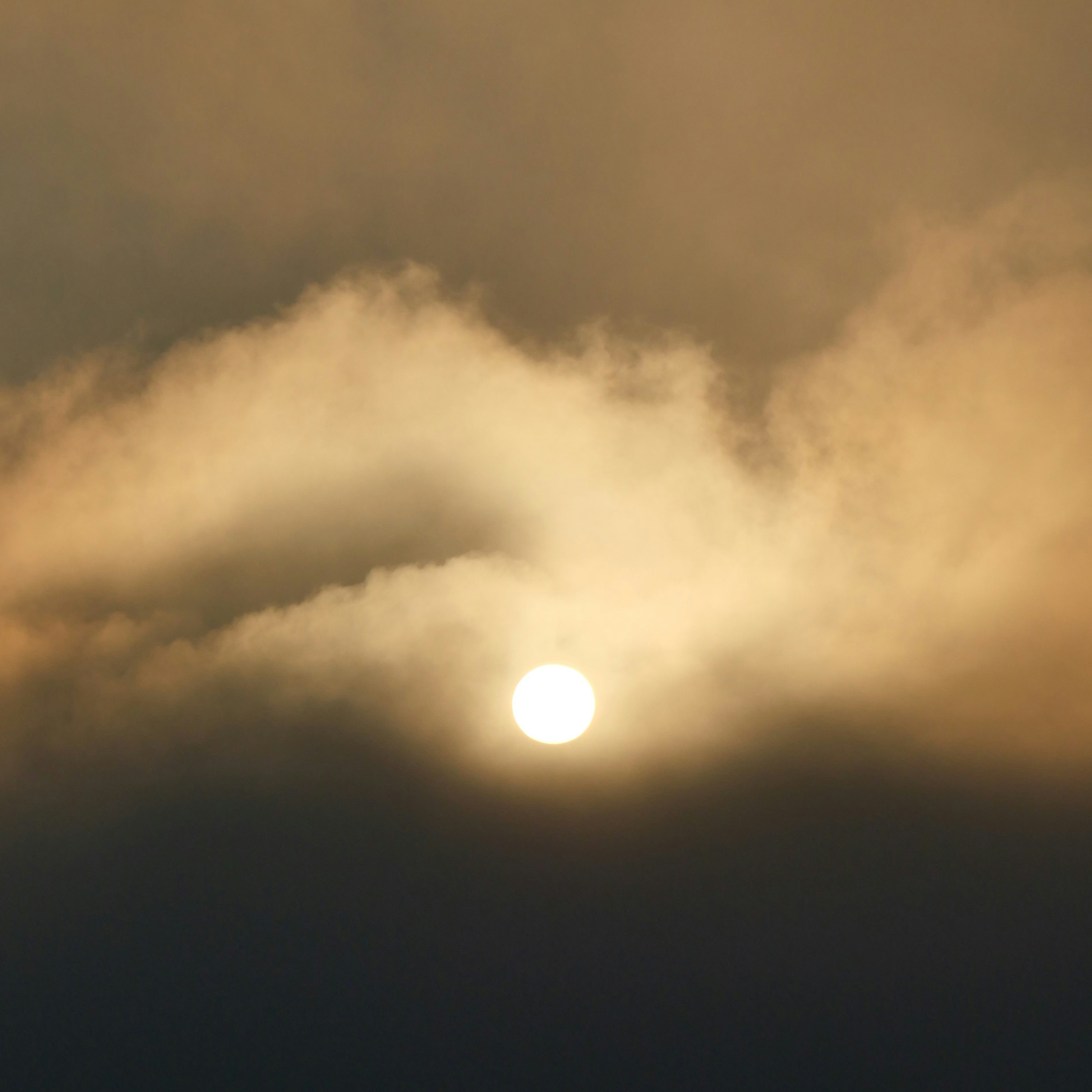 Photo by nimbus_vulpis