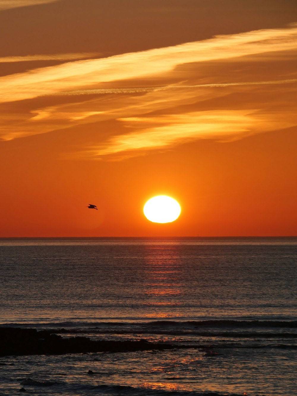 the sun is setting over the ocean with a bird flying in the distance