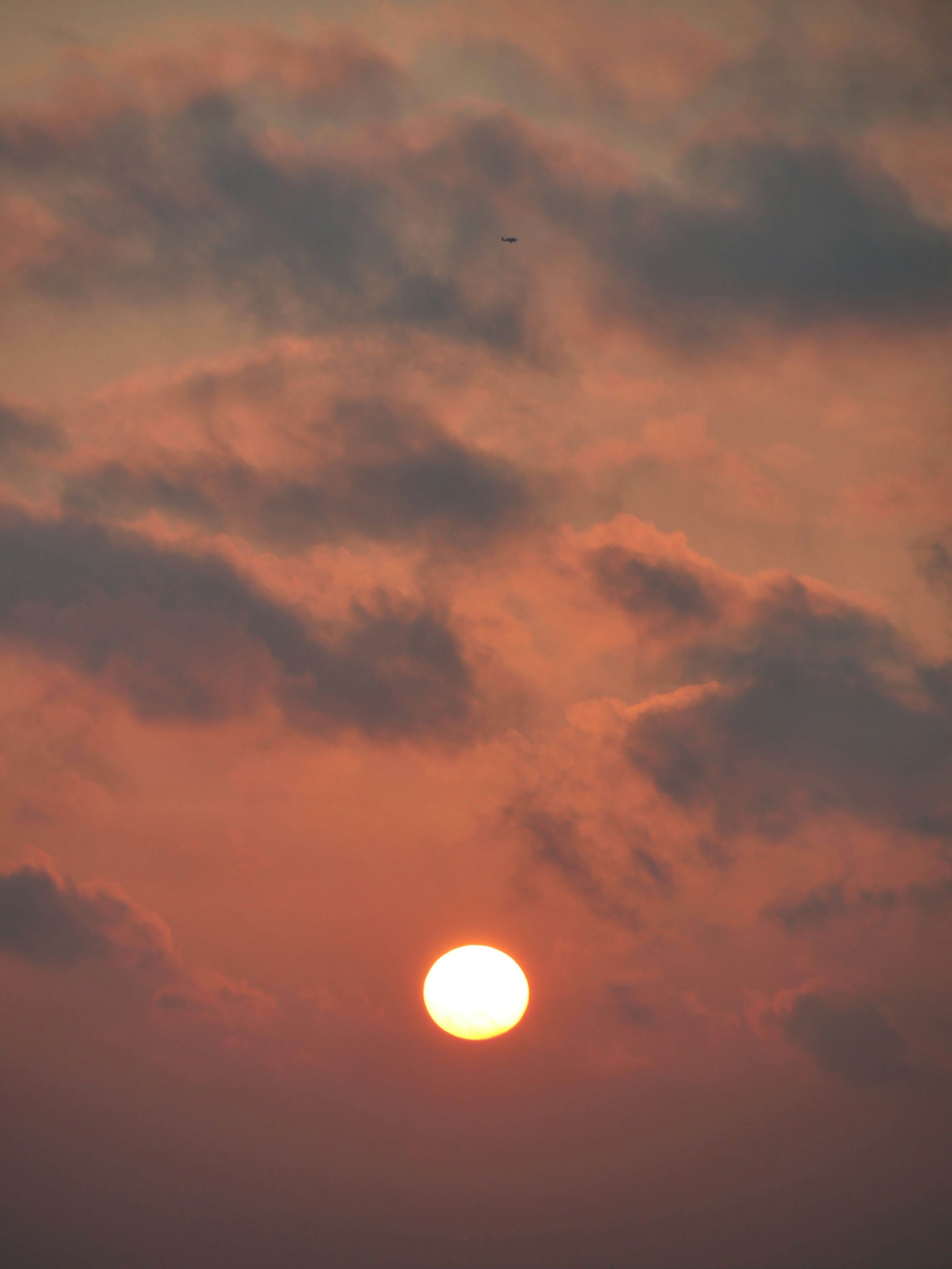 Photo by nimbus_vulpis