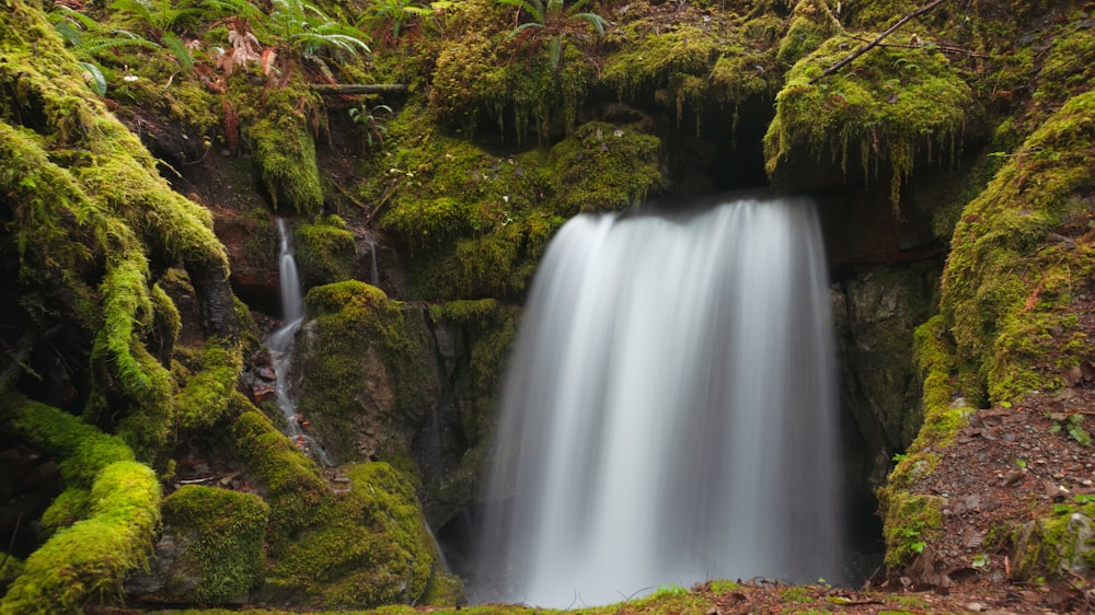 a small waterfall in the middle of a forest