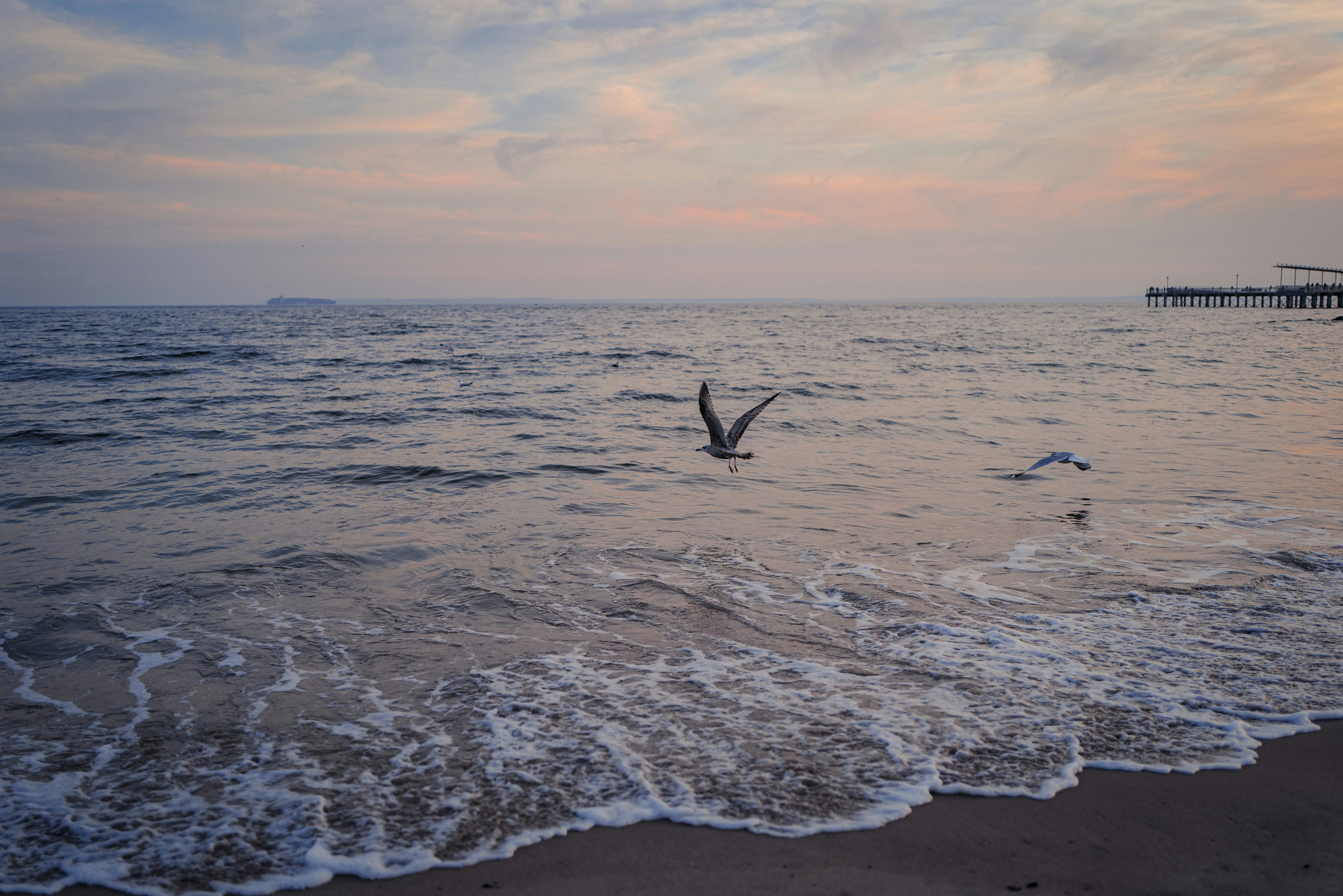 Photo by _may_
