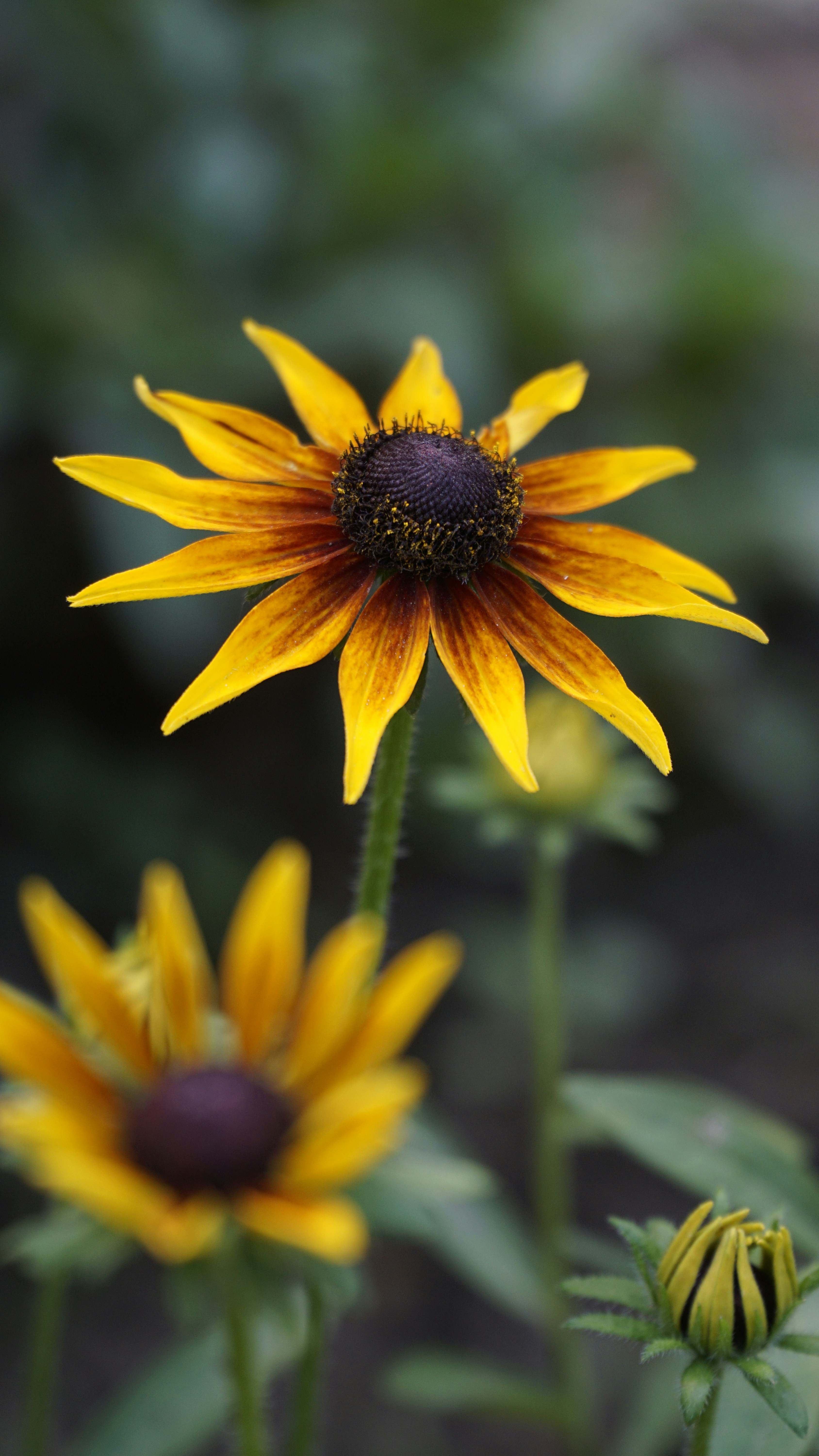 Photo by rutpratheep