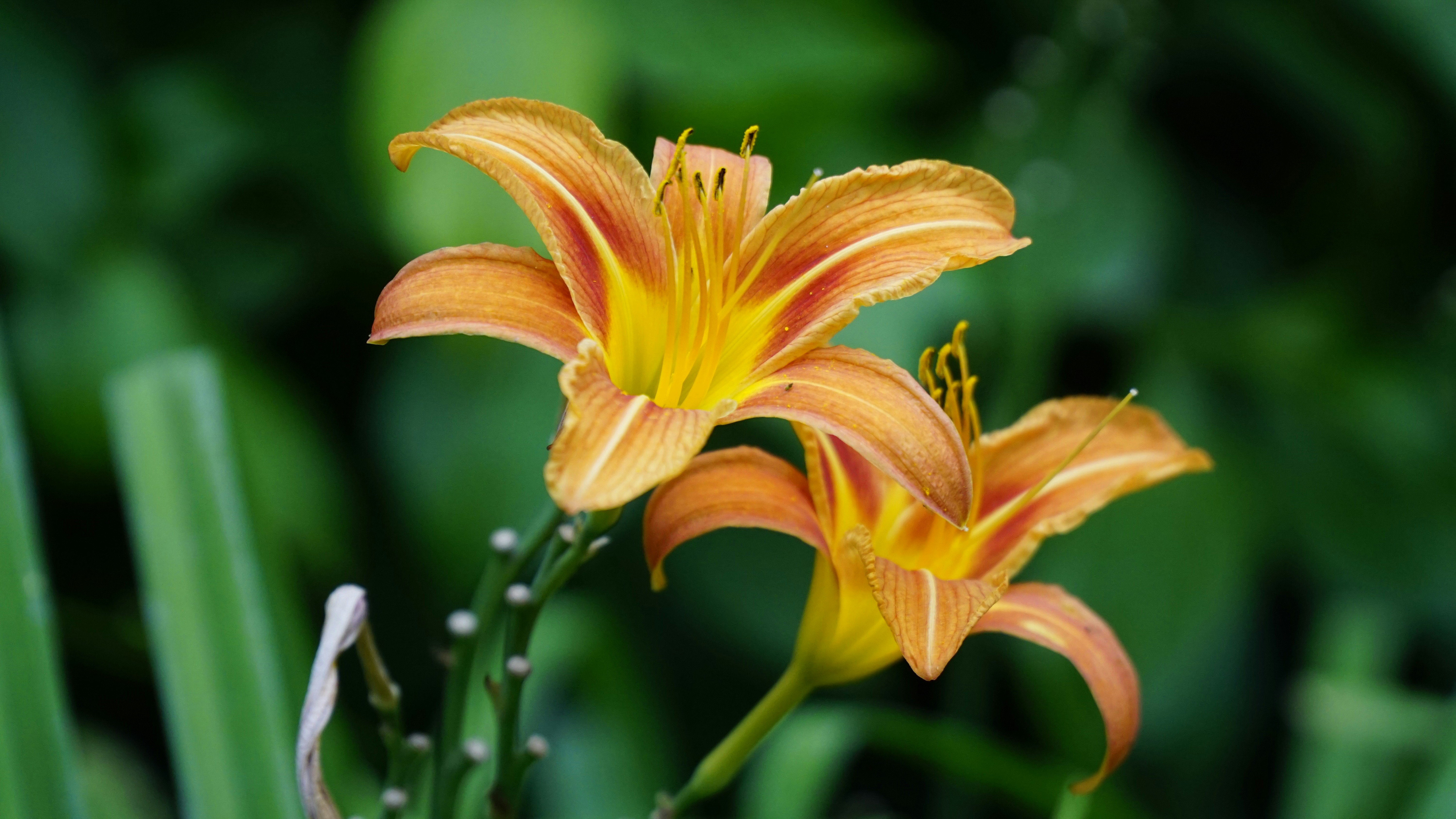 Photo by rutpratheep