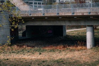 A concrete bridge with metal railings spans across a grassy area. Underneath the bridge, graffiti is visible on the concrete walls. Sparse vegetation and a few small trees with budding leaves are present near the bridge. The surrounding grass varies in color, indicating patches of dryness.