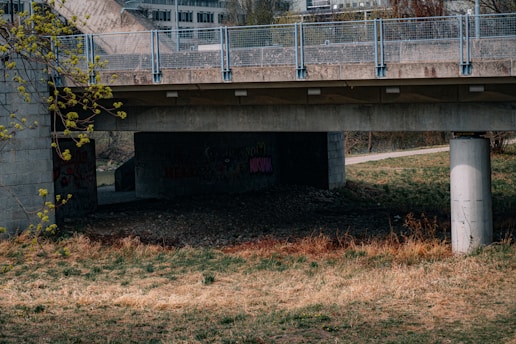 A concrete bridge with metal railings spans across a grassy area. Underneath the bridge, graffiti is visible on the concrete walls. Sparse vegetation and a few small trees with budding leaves are present near the bridge. The surrounding grass varies in color, indicating patches of dryness.
