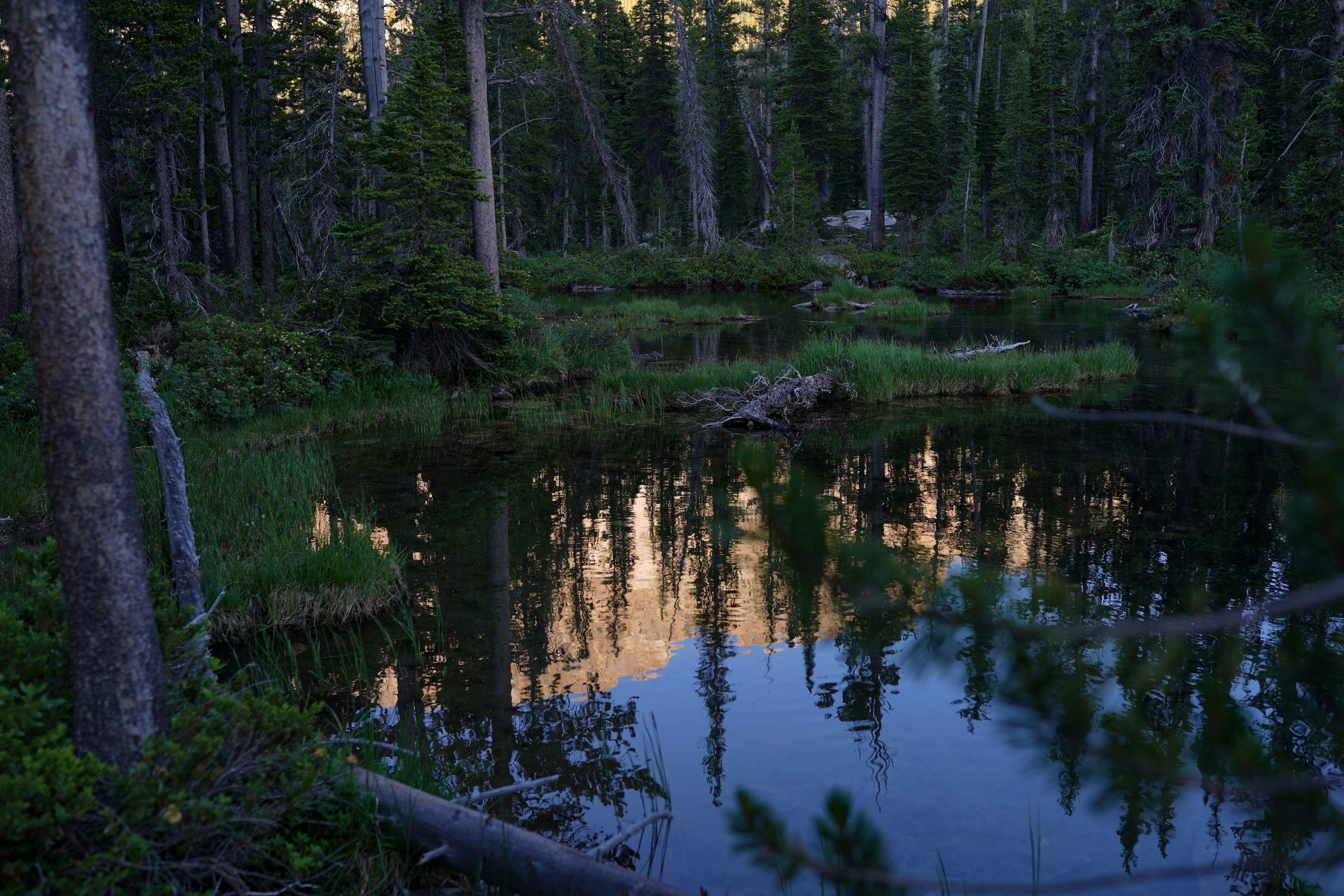 Photo by raquellucine