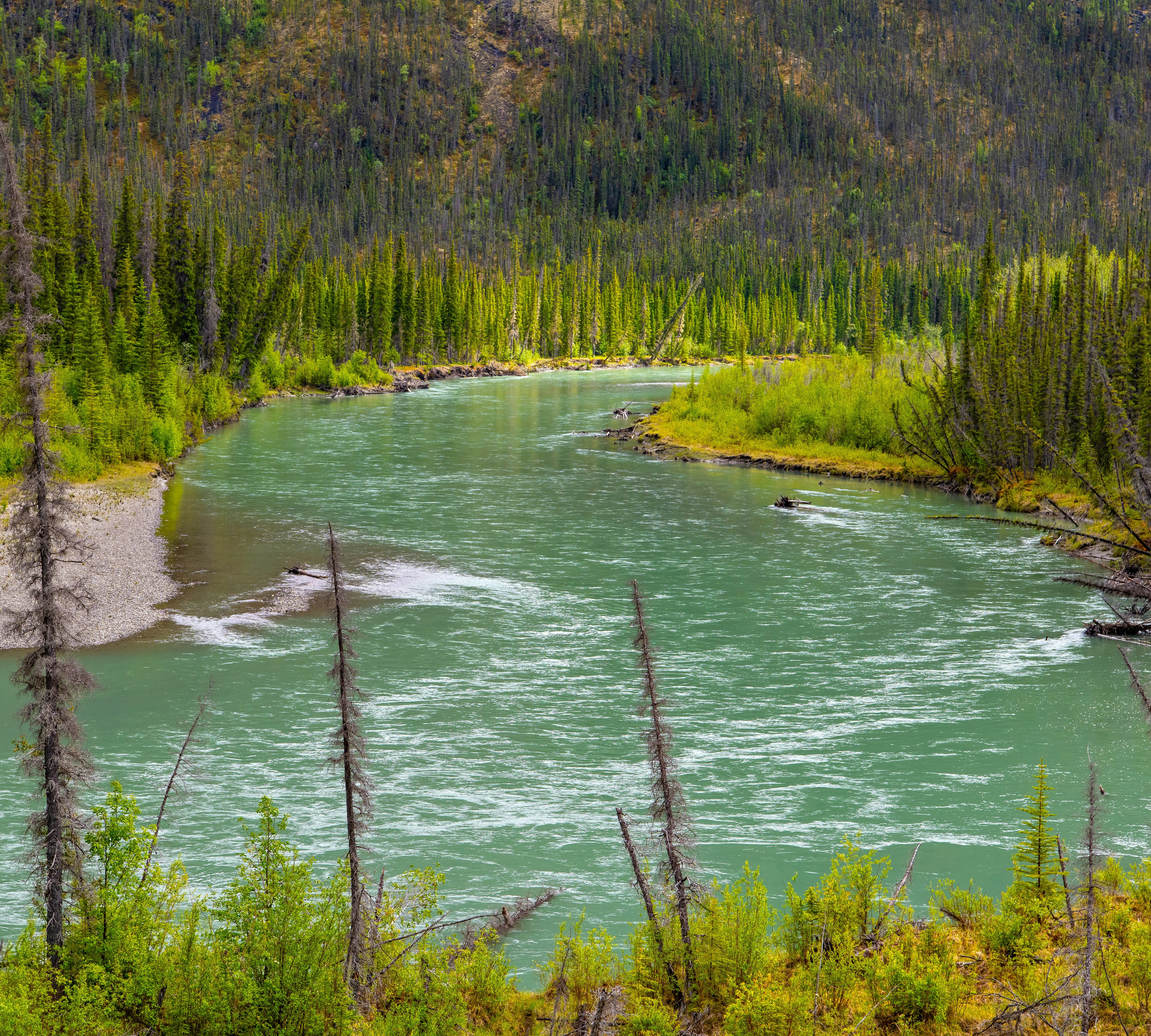 Photo by pennell_zack