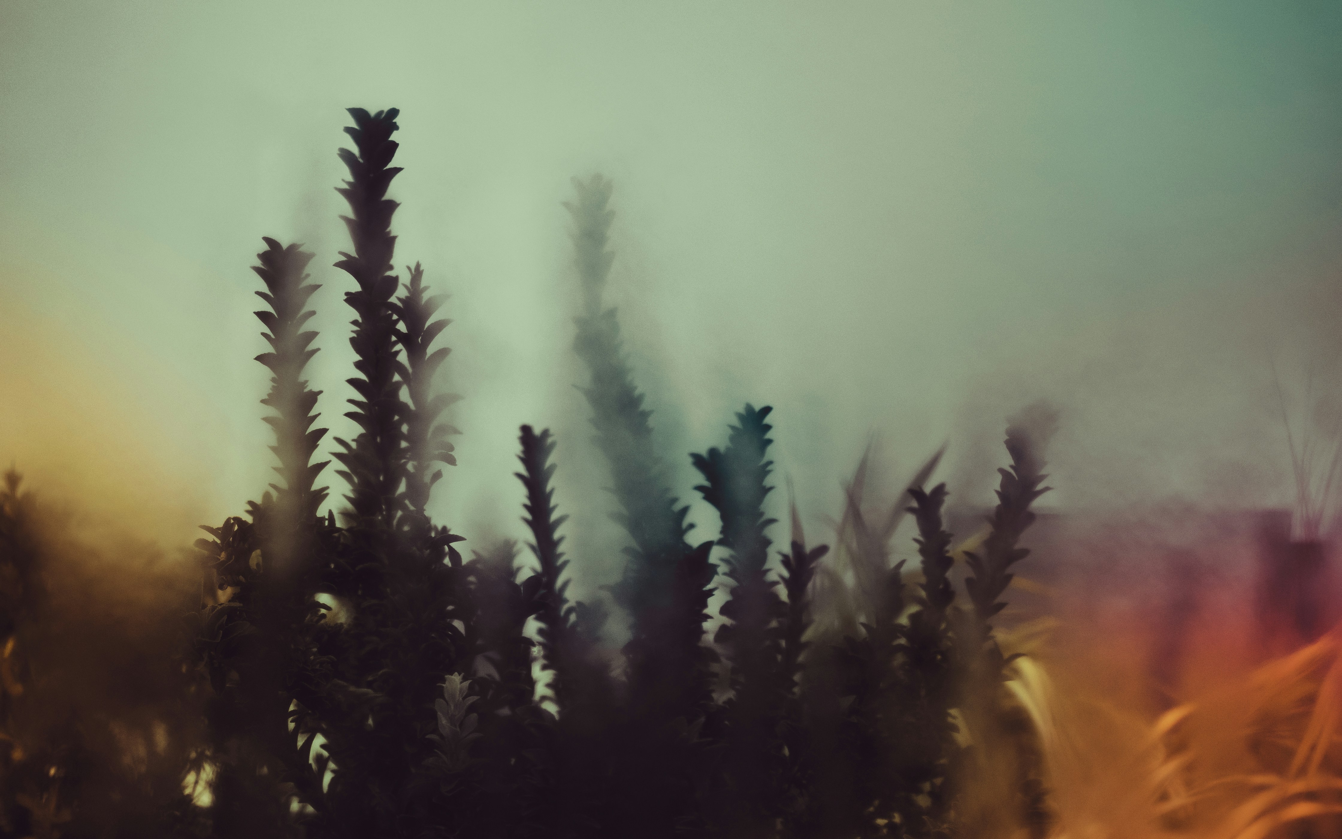 Photo by kierinsightarchives