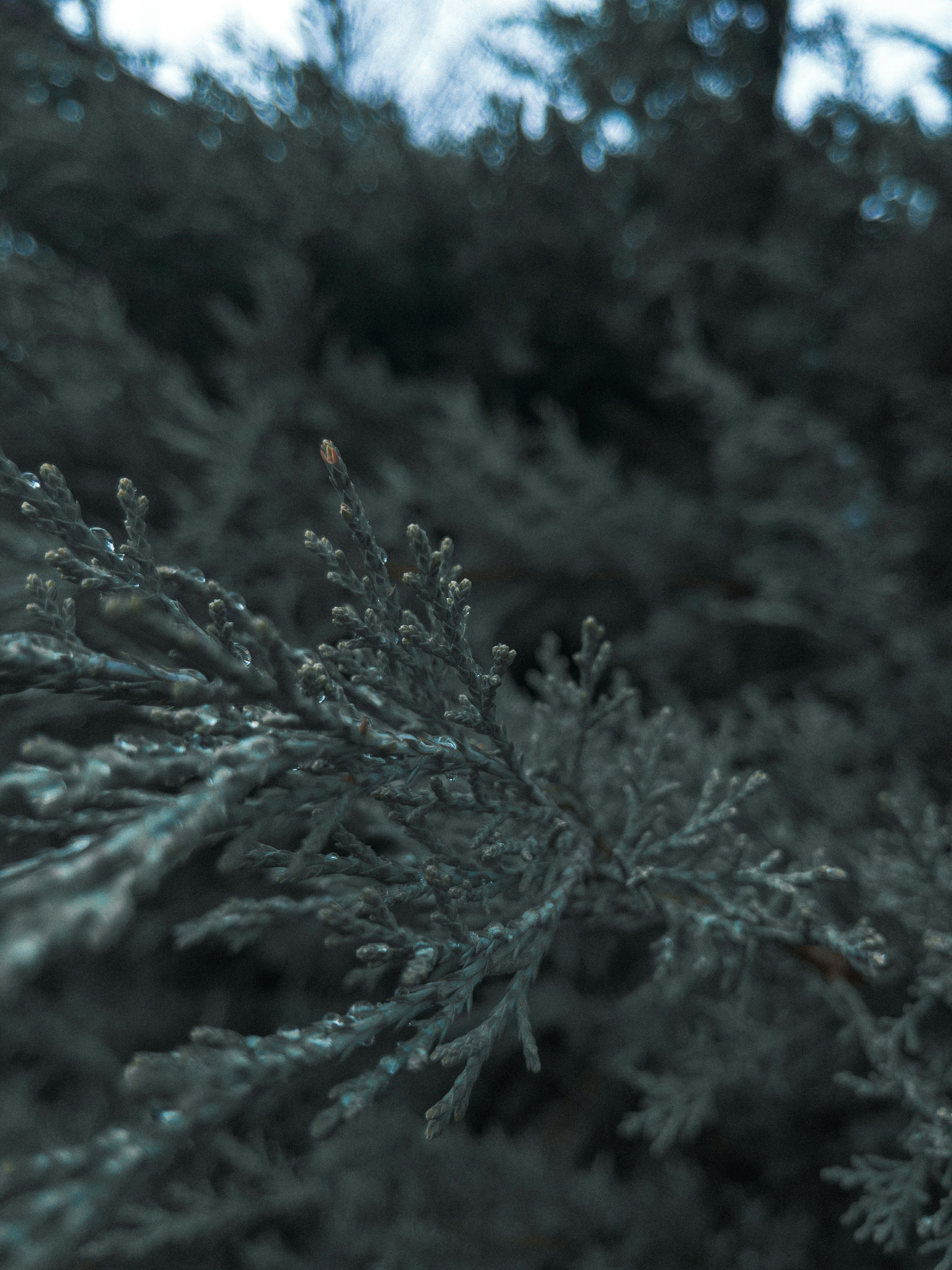 Photo by yesagain_ivan