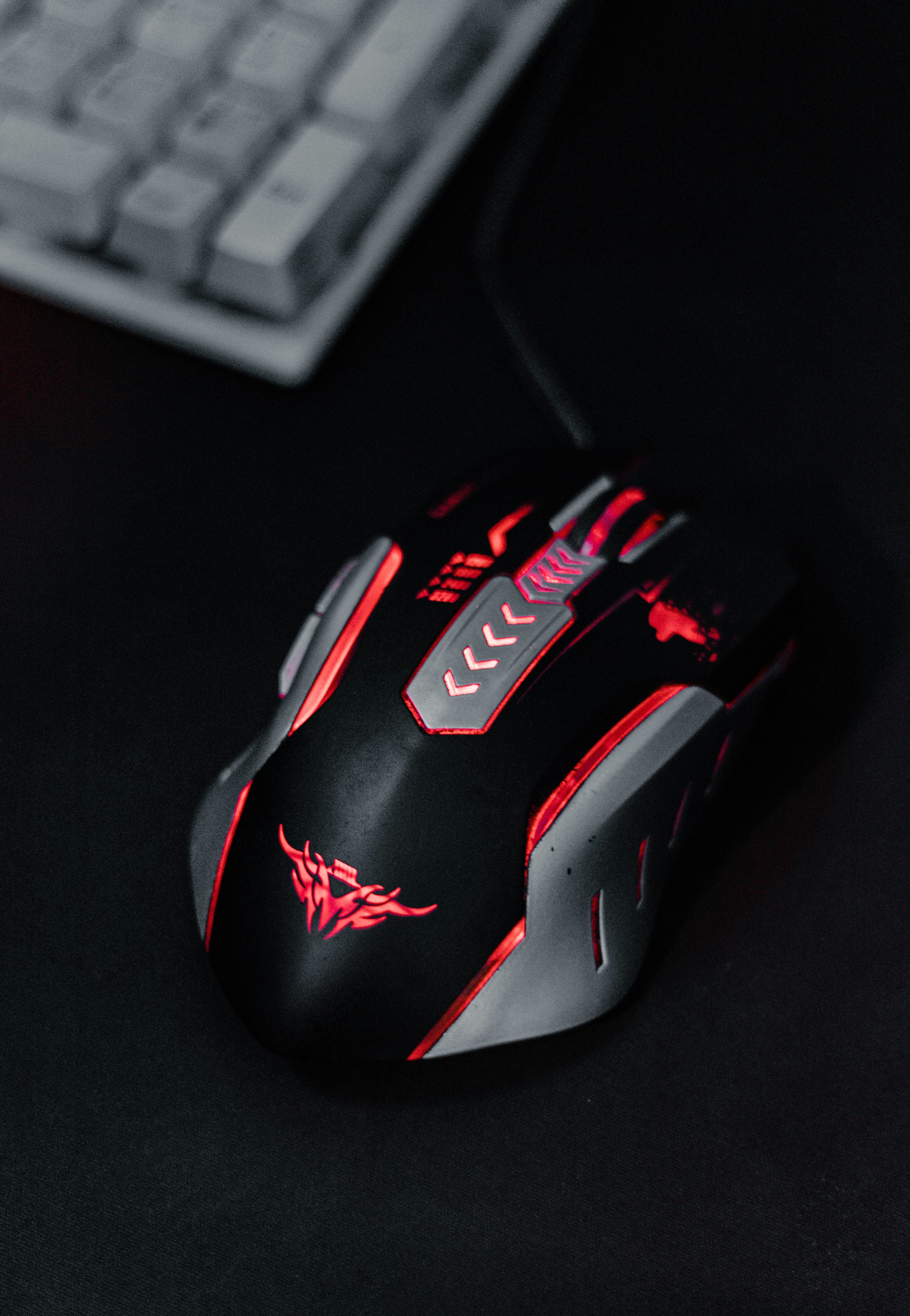 Photo by salaheregouane