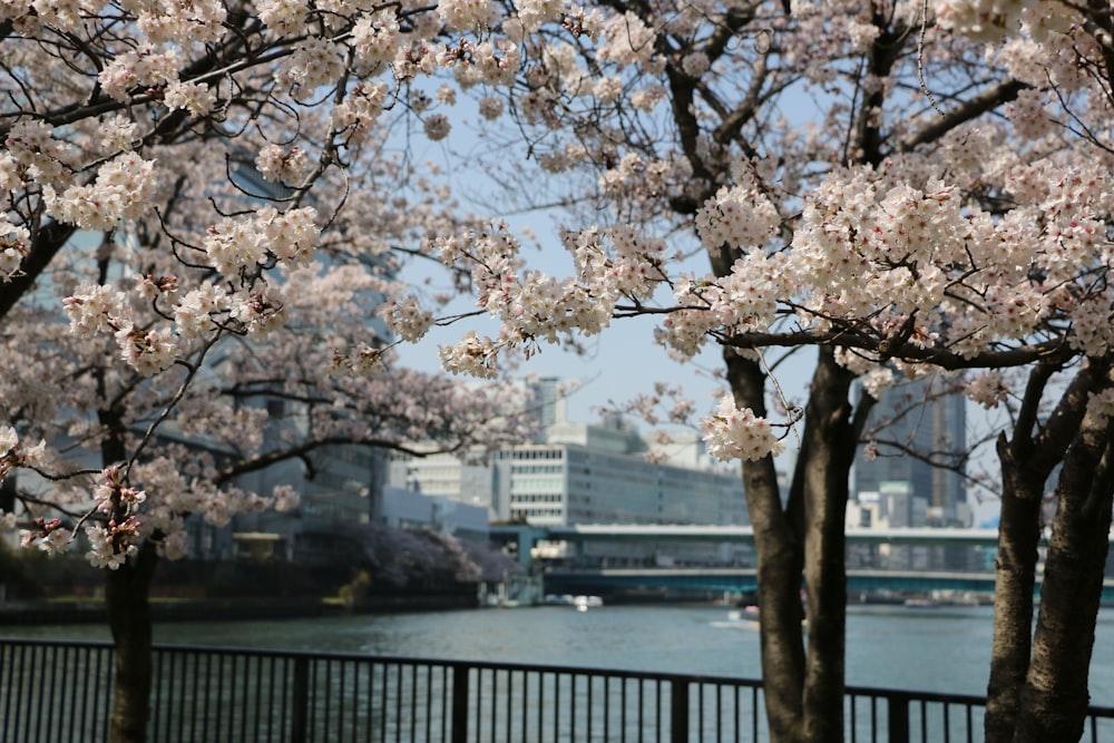 a view of a body of water with a bridge in the background