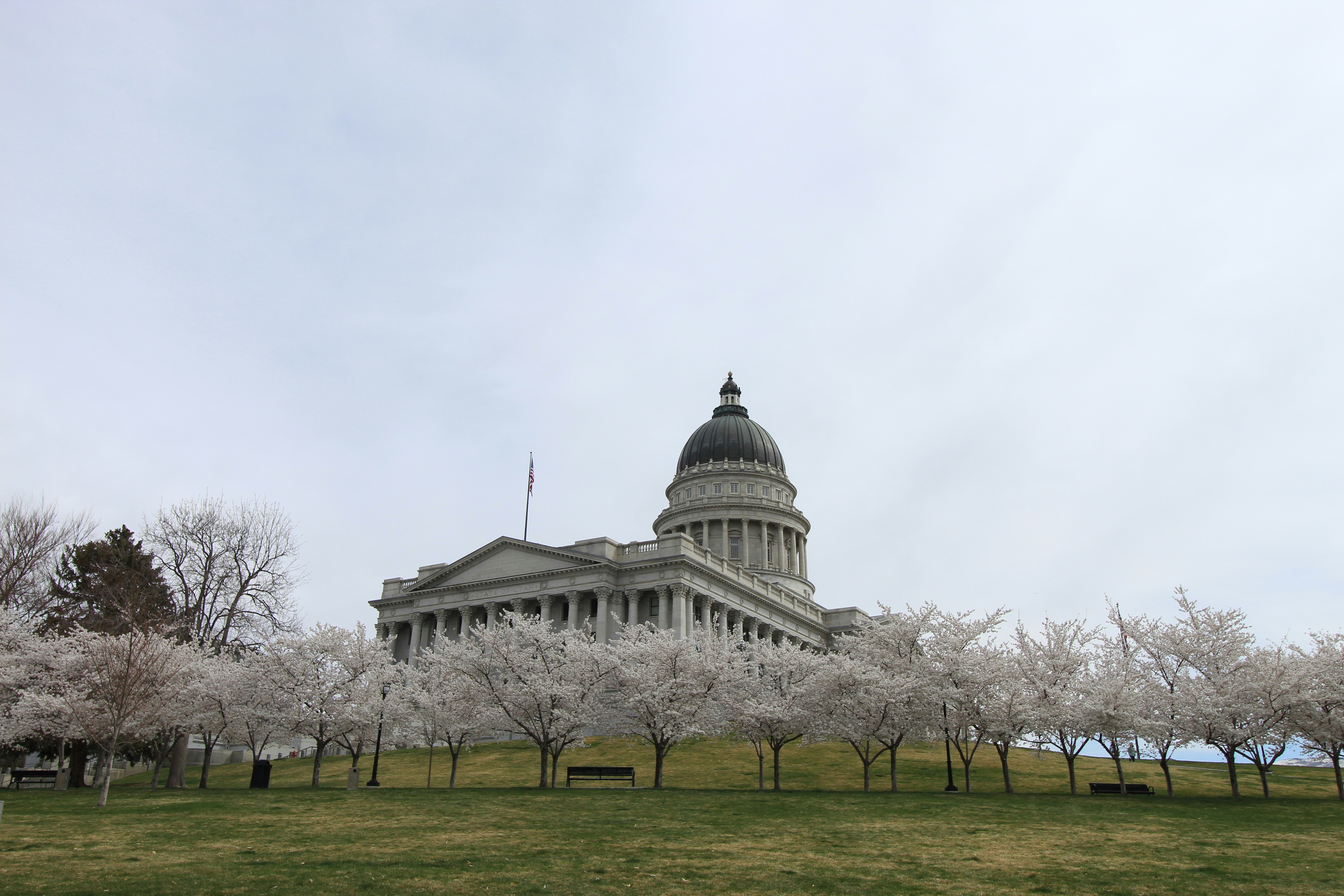 'Save democracy or destroy the universe': Utah's ranked choice voting experiment on life support Post feature image