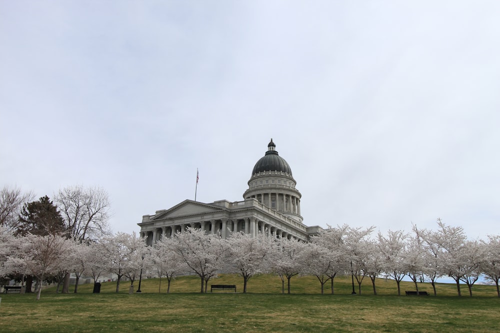 a large building with trees in front of it