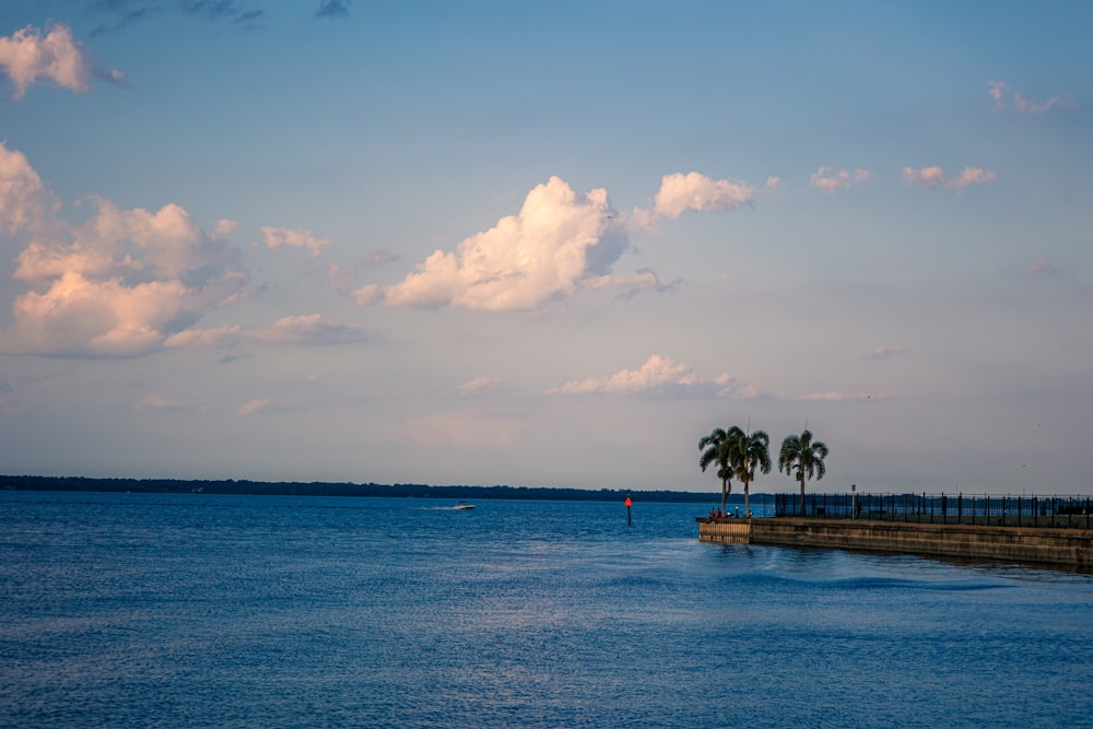 uno specchio d'acqua con palme in lontananza