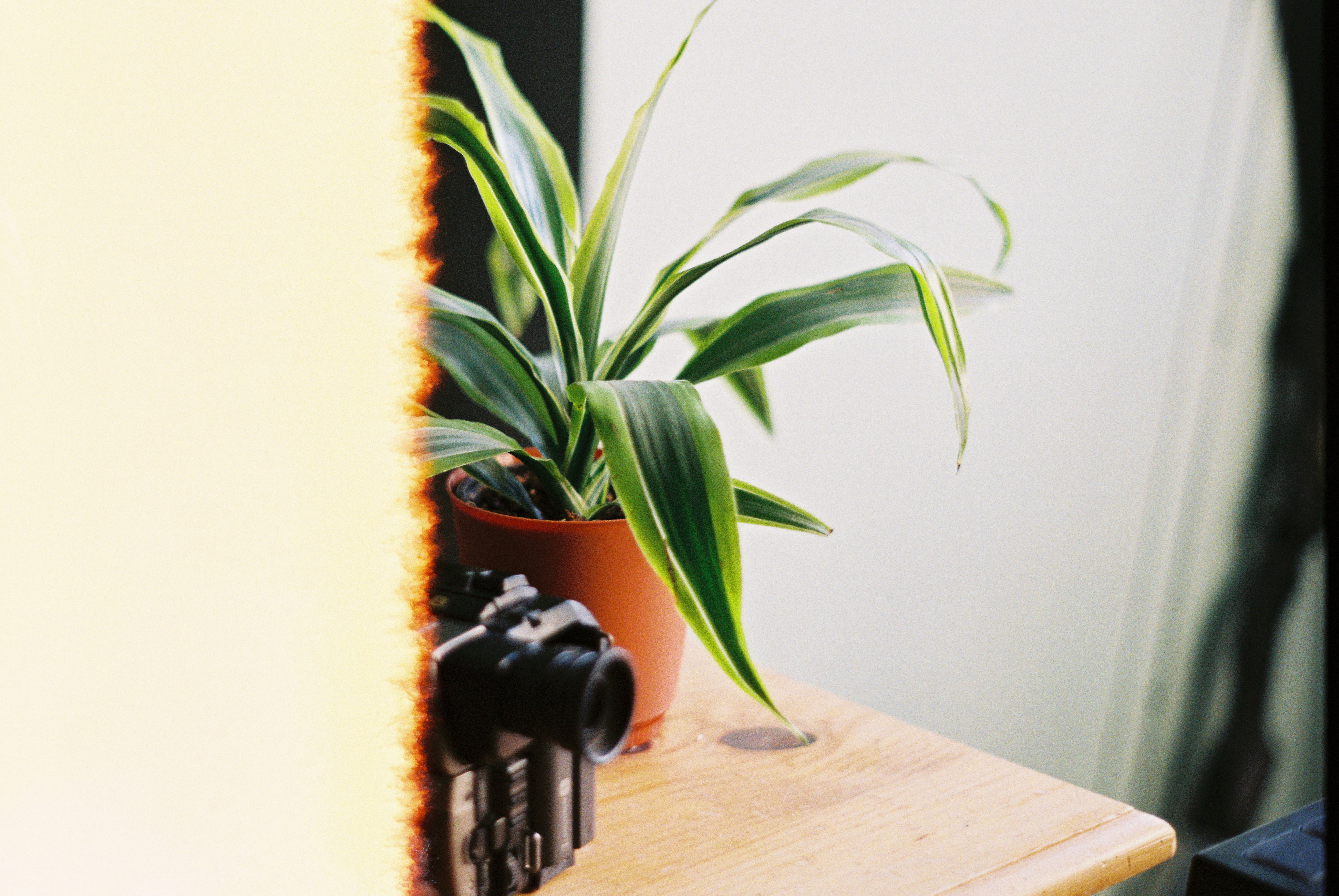 Photo by lukeschlanderer