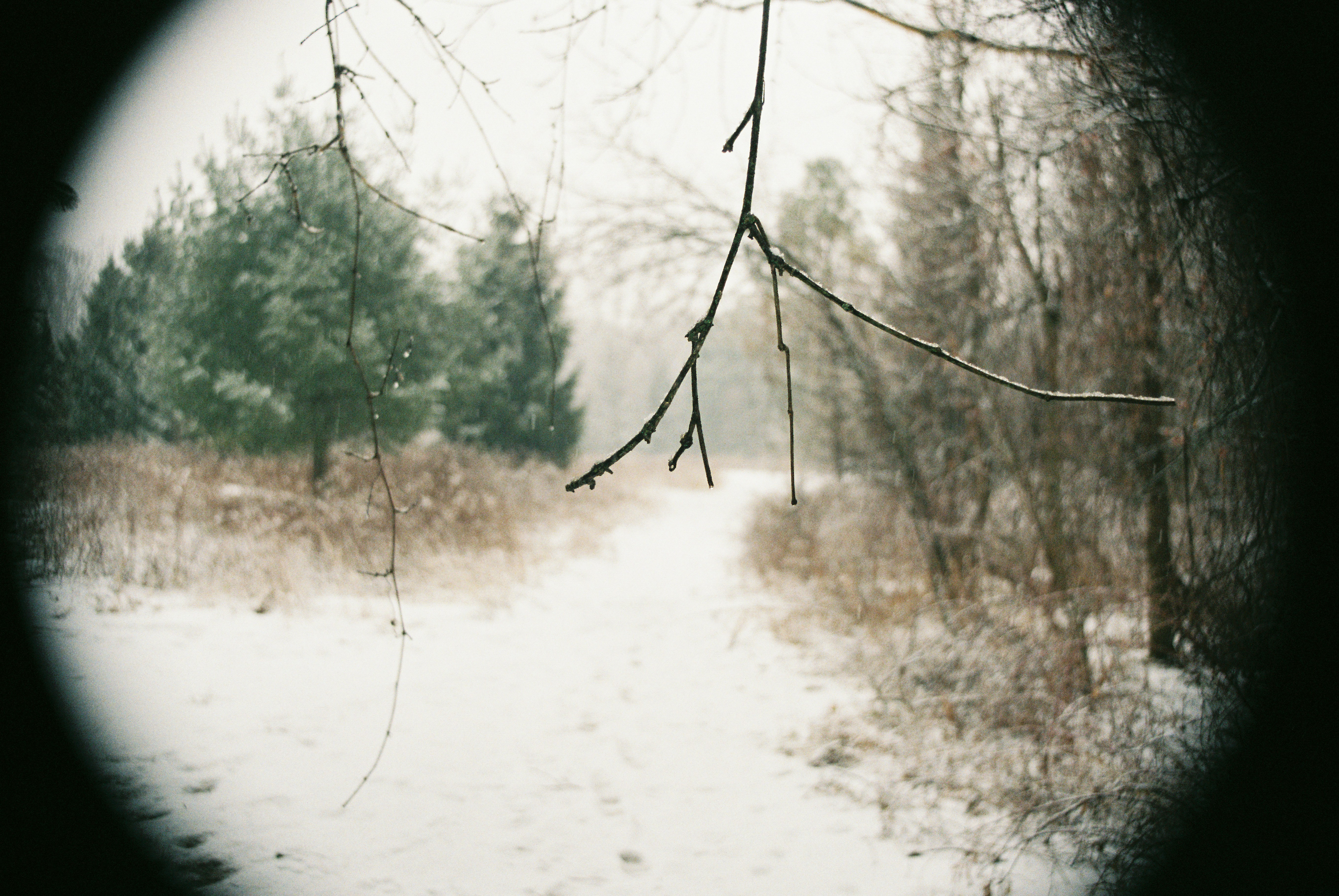 Photo by lukeschlanderer