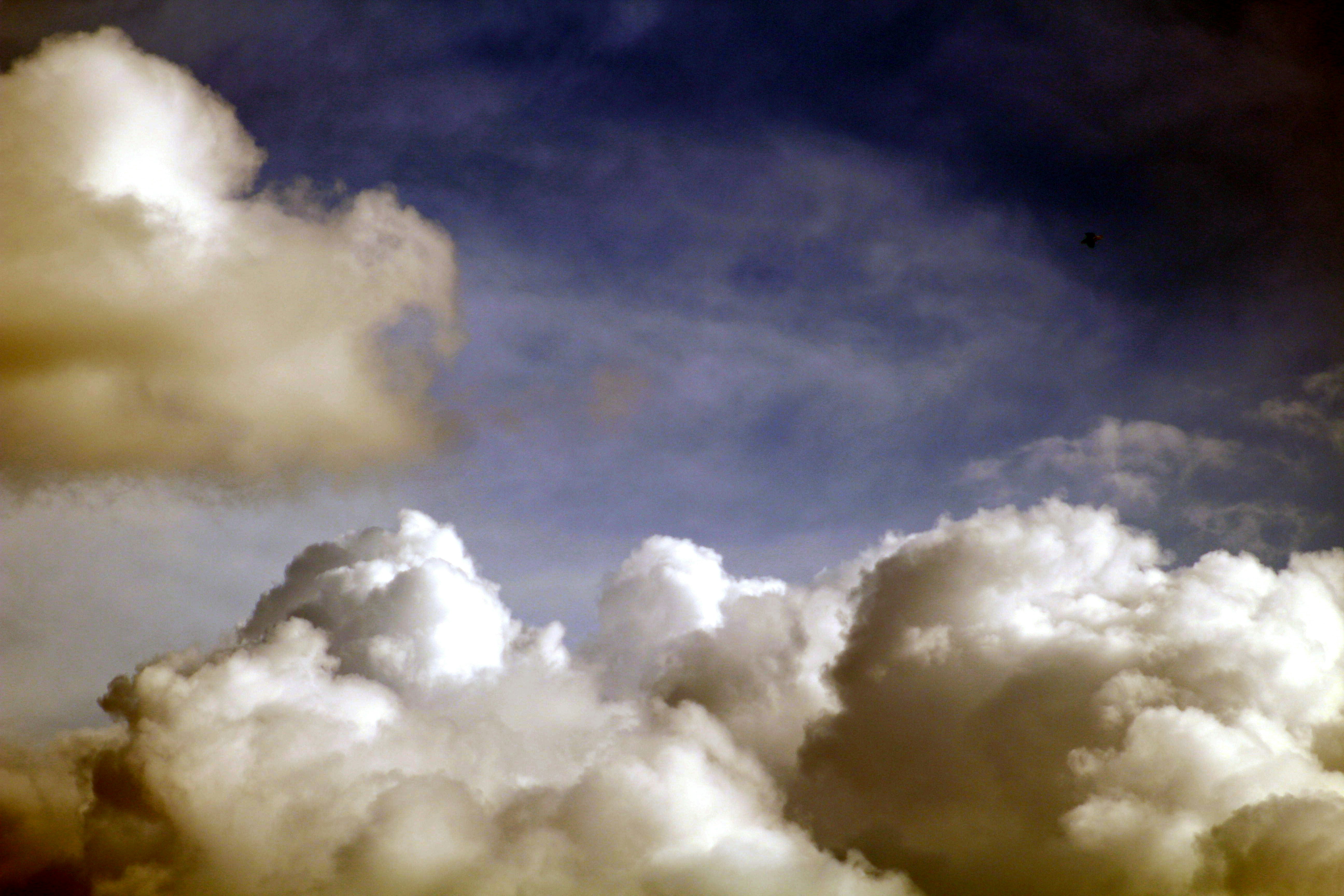 Photo by joshua_hoehne