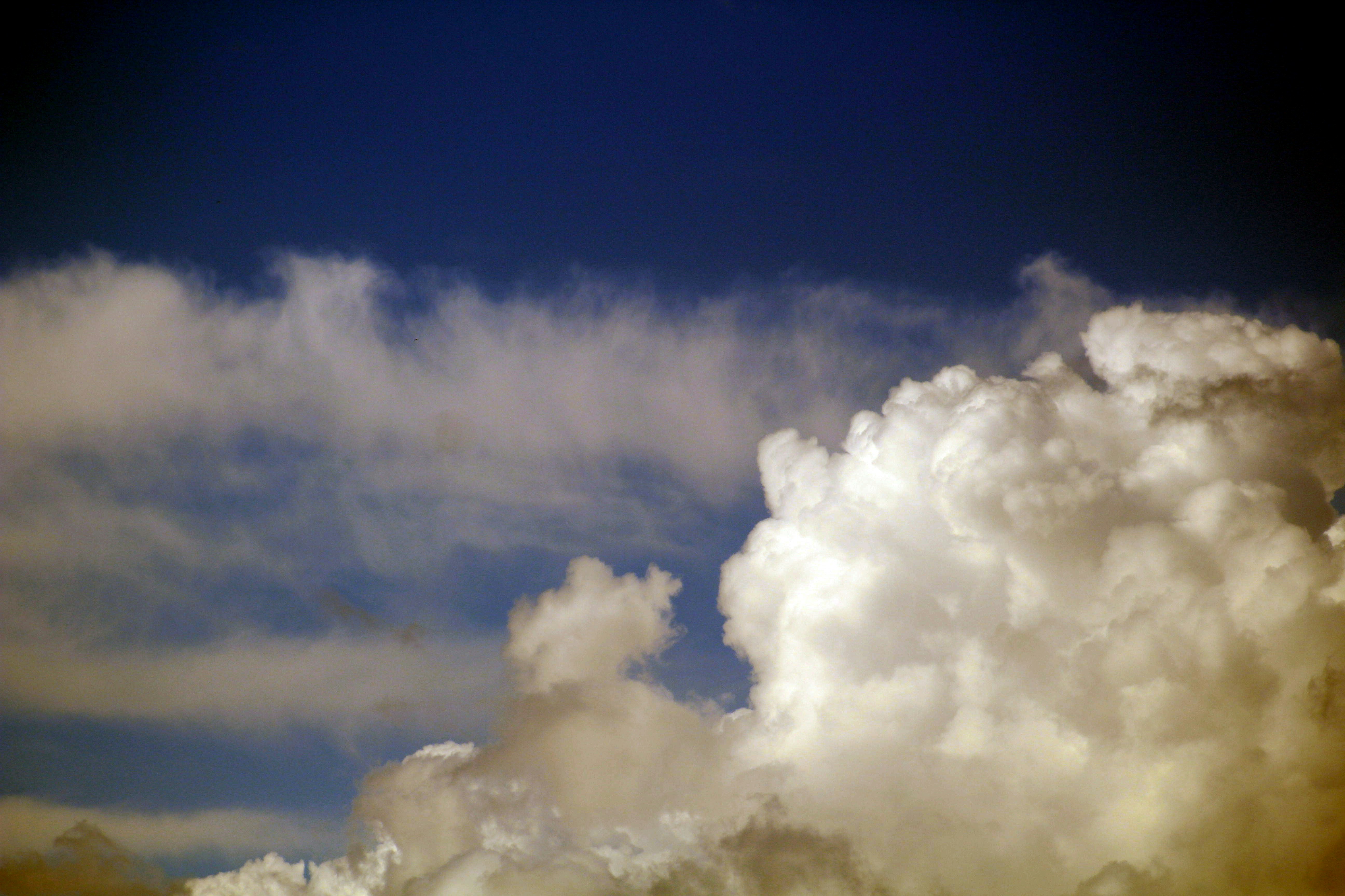 Photo by joshua_hoehne