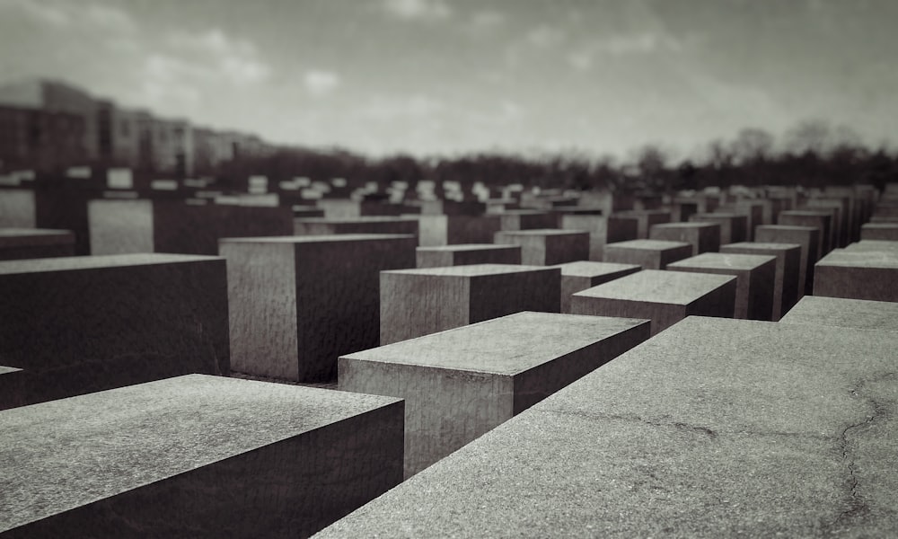 묘지의 흑백 사진