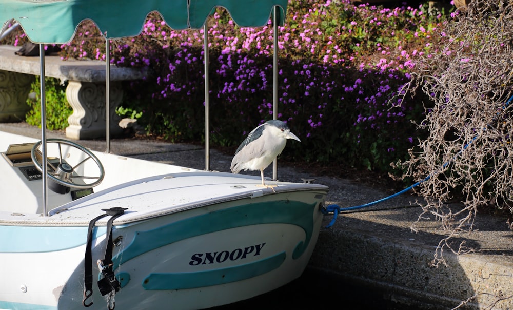a bird is perched on a small boat