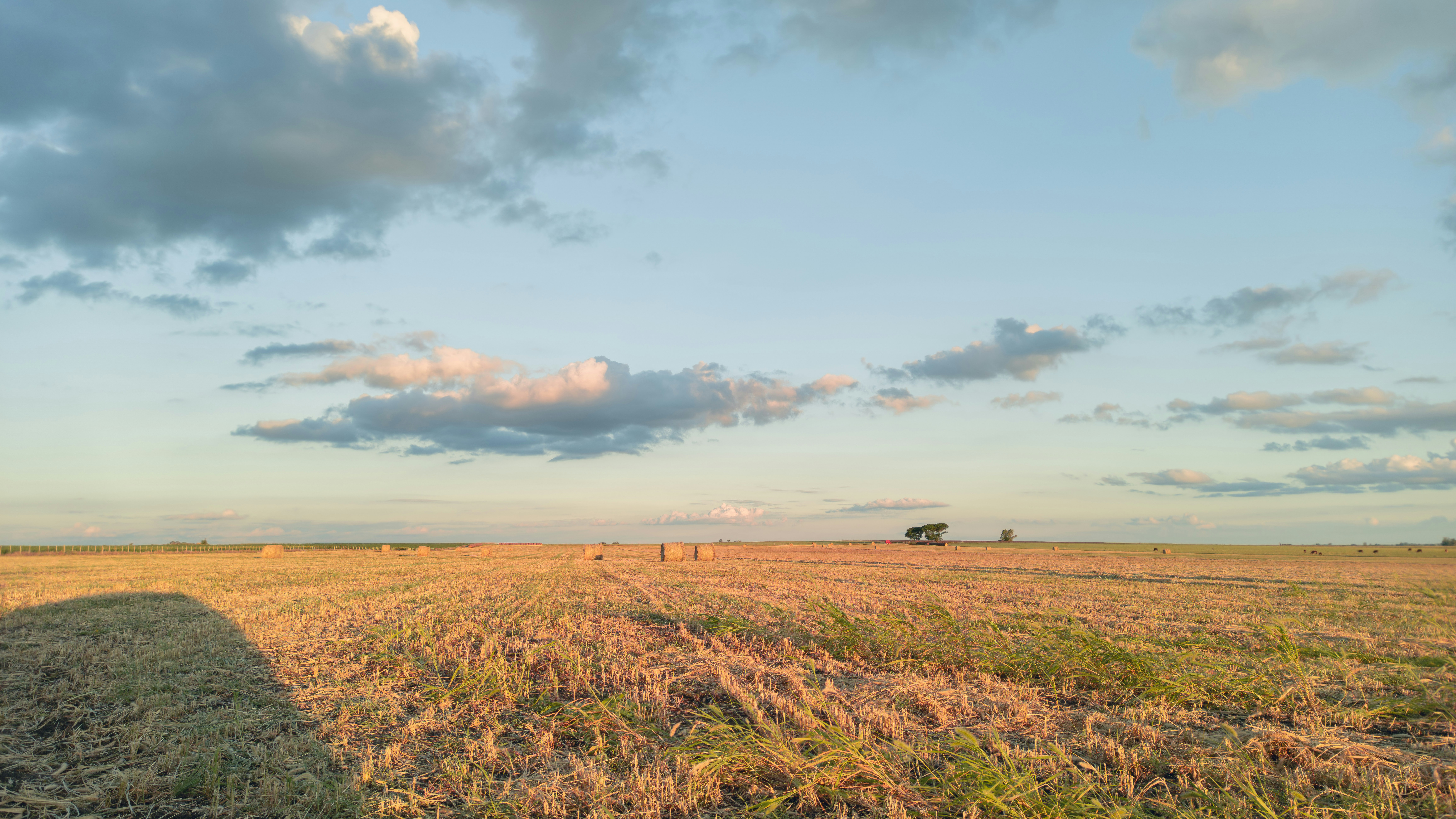 Photo by dariobonzi39