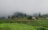 A lush green tea plantation stretches across rolling hills, partially shrouded by mist. Scattered trees and a few small buildings with red roofs are visible amid the greenery, creating a serene and tranquil rural scene.