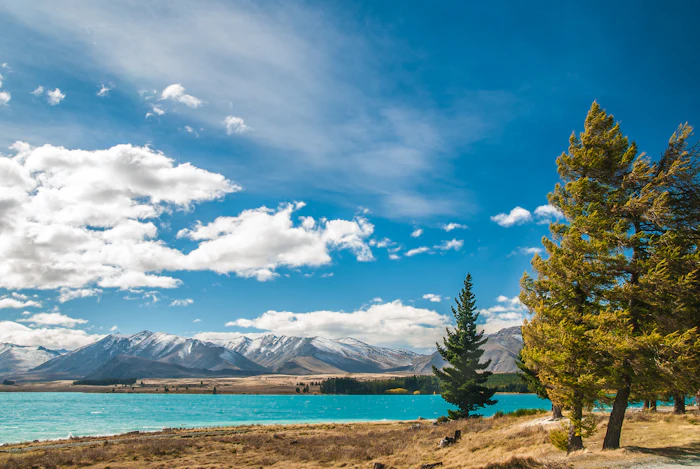 New Zealand: Auckland to Wellington Highlights — New Zealand