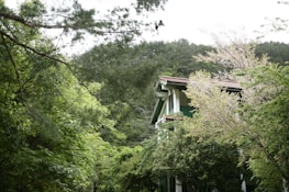 A completed eco-friendly house surrounded by greenery.