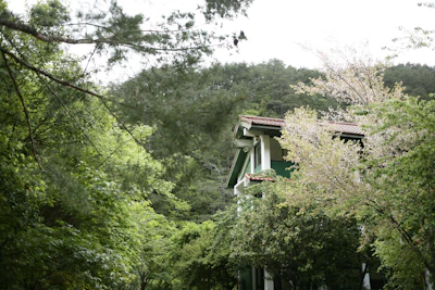 Completed sustainable home surrounded by trees and natural environment.