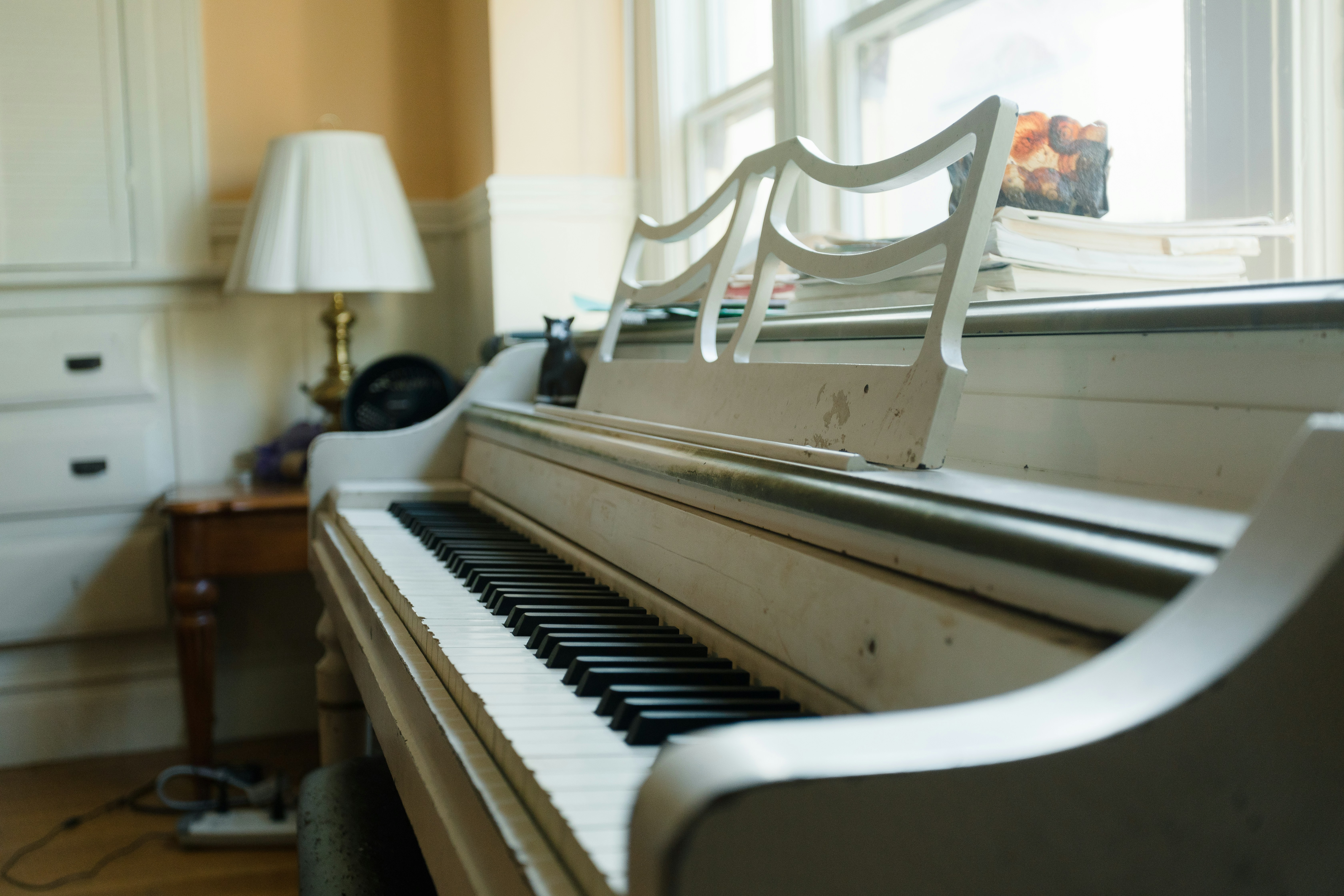 Photo by feliciamontenegro