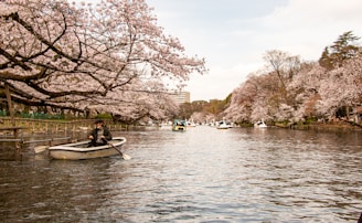 A serene river scene in Shantou with boats and reflections of pink blossoms on the water.