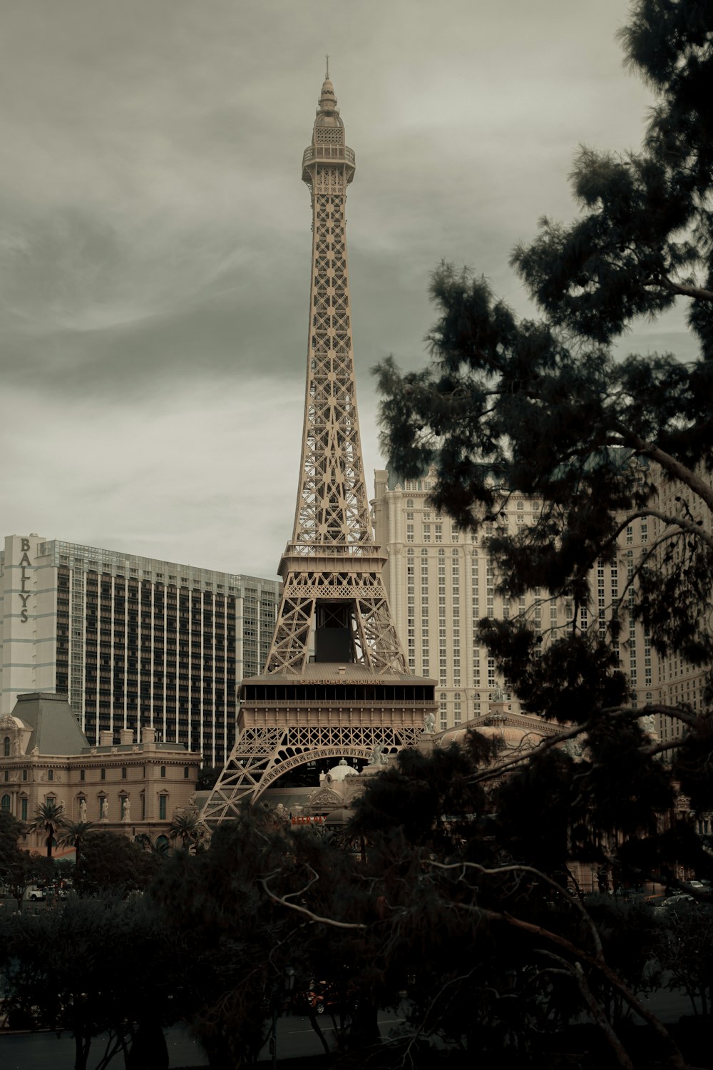 the eiffel tower towering over the city of paris