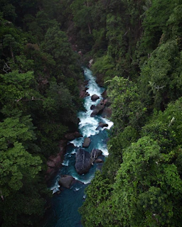 A vibrant photo of Costa Rica’s lush rainforest with a winding river under a bright blue sky.