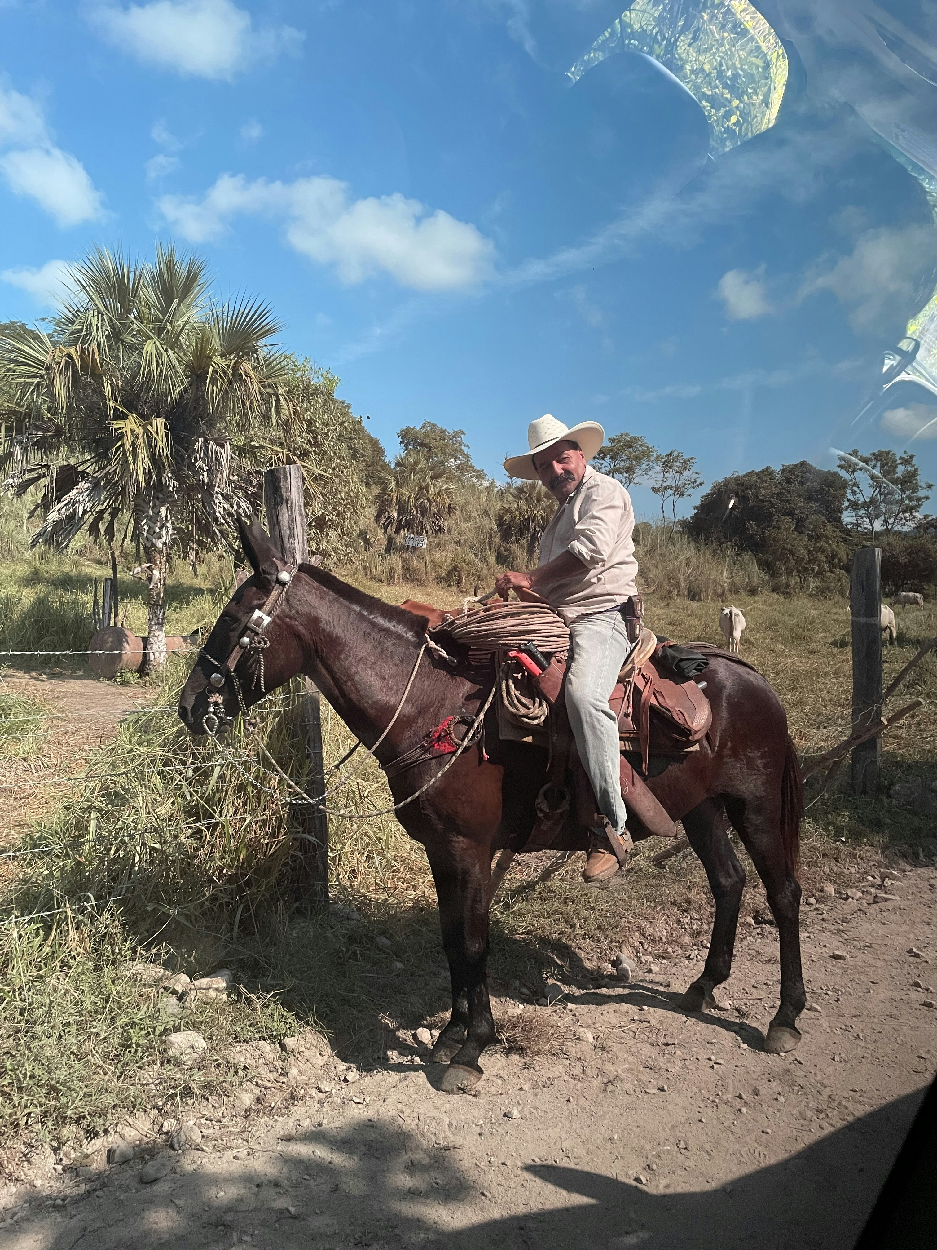 a man riding on the back of a brown horse