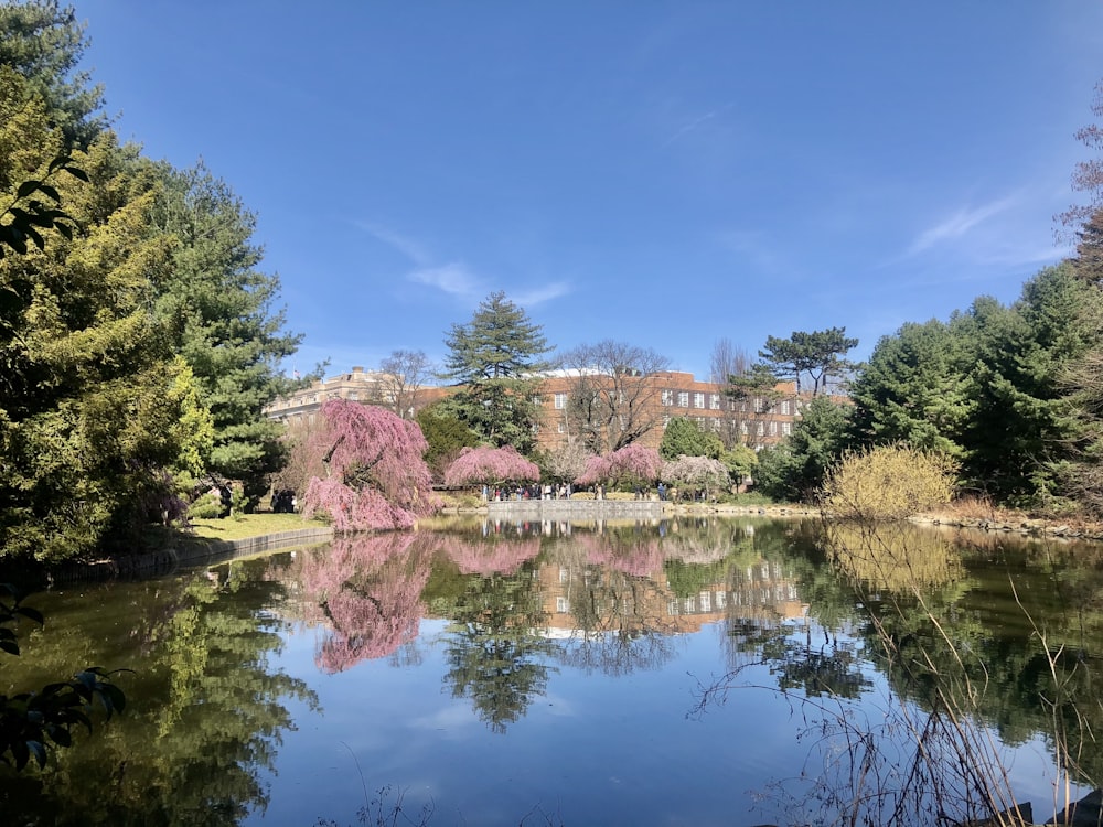 a body of water surrounded by trees and a building