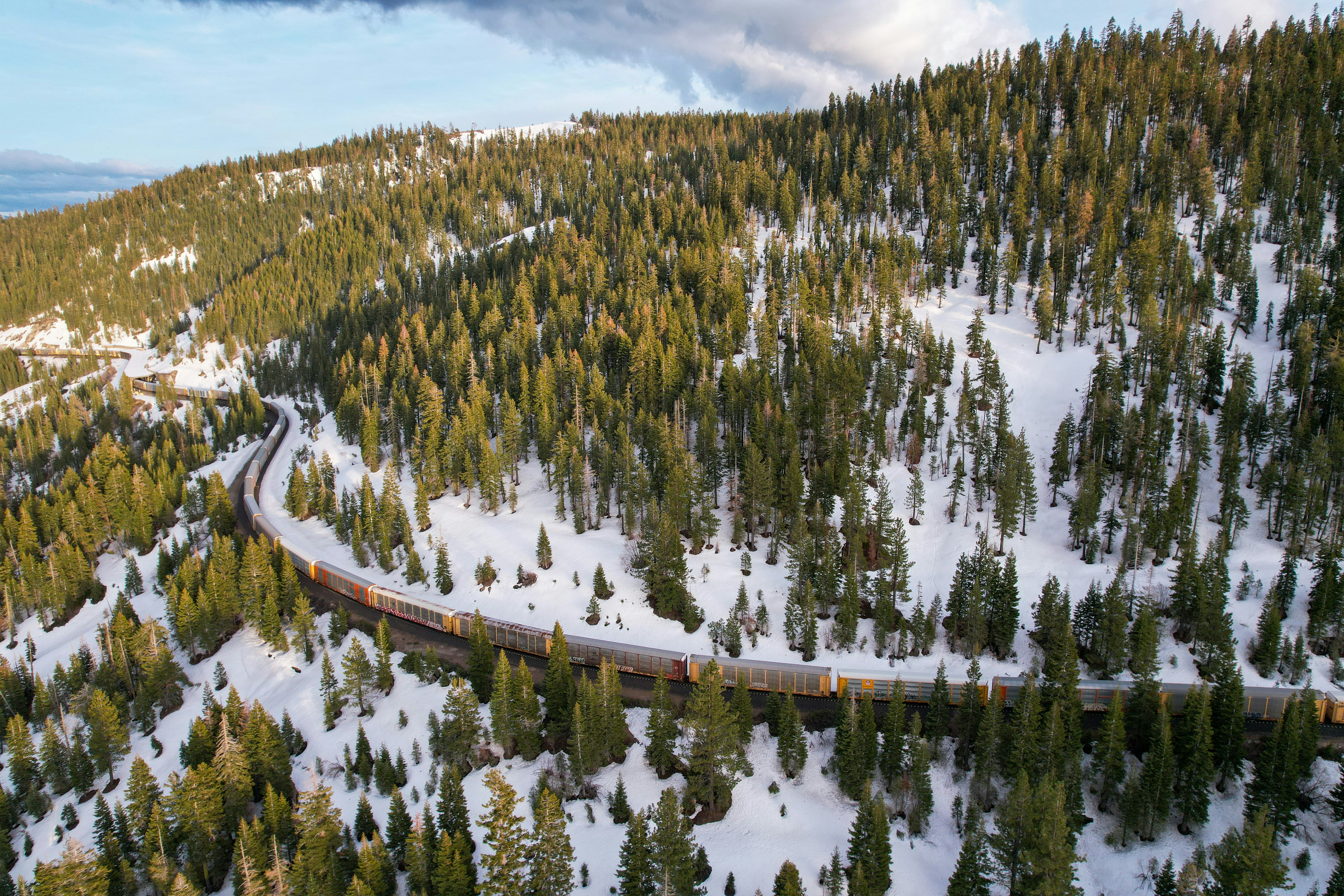 a train traveling through a snow covered forest