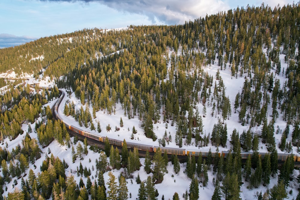 um trem viajando através de uma floresta coberta de neve