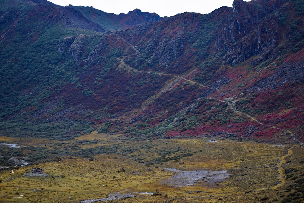 a view of a mountain side with a river running through it