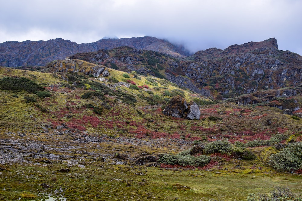 a grassy hill with a few rocks on it