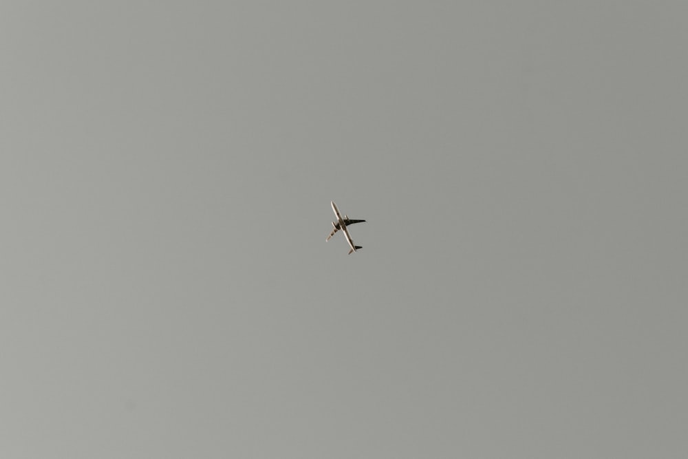 a bird flying in the sky on a cloudy day