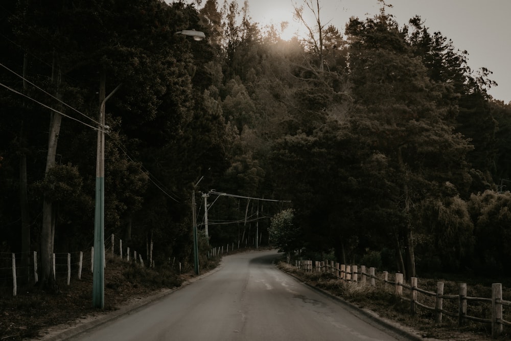 a road with a fence and trees on both sides