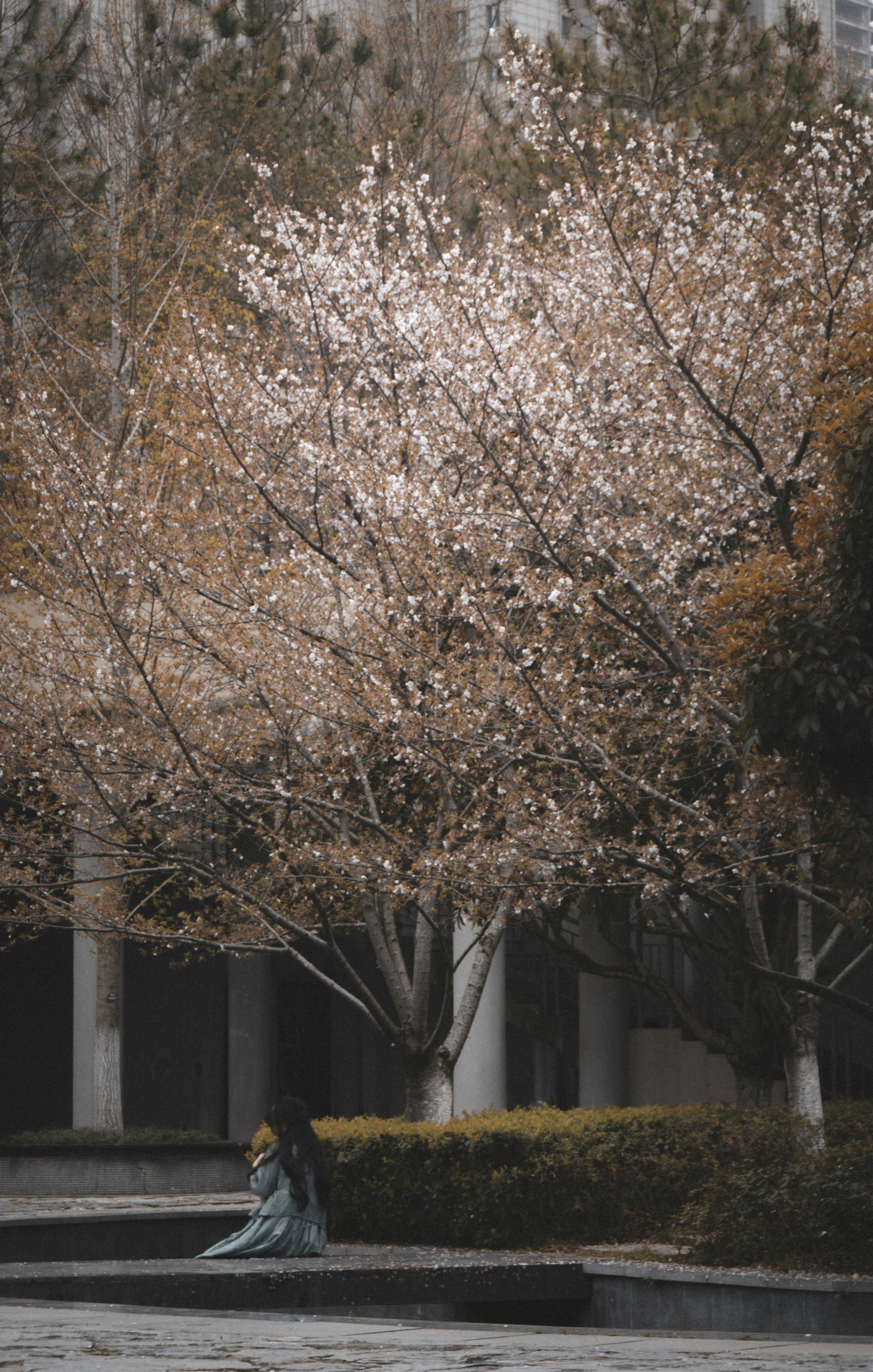 Photo by magicblacktea