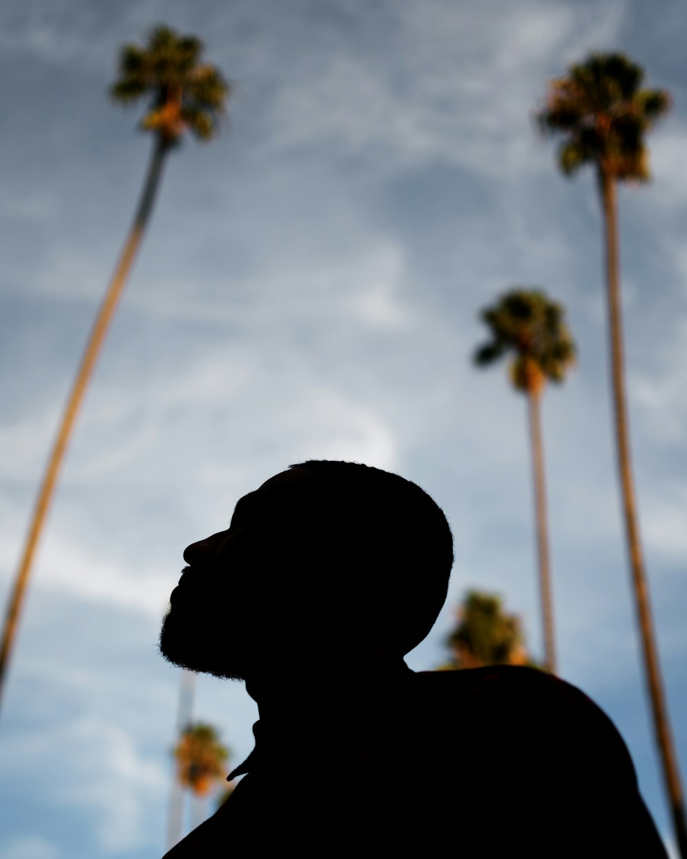 a silhouette of a man standing in front of palm trees