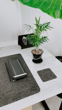 A minimalistic desk with a laptop and notepad beside a small plant.