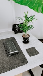 Minimalist desk setup with a notebook and pen beside a small plant.