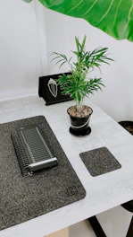 A minimalistic desk setup with a sleek notebook, pen, and a small plant beside a window.