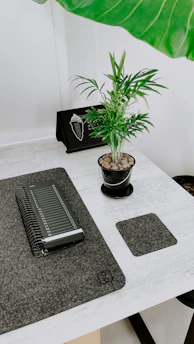 A modern, minimalistic desk setup with a plant and notebook.